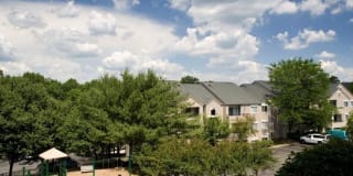 Allyson Gardens II Gallery 38