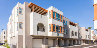 The Seaton Gallery 25