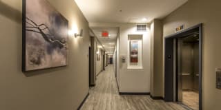 160 East Berkeley Street Gallery 5