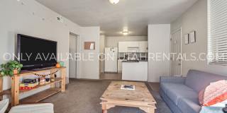 843 E 620 N Gallery 3