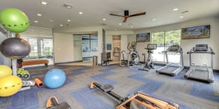 Cypress Creek Gallery 8