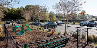 Brooklyn Riverside Gallery 15