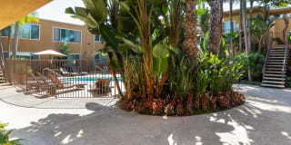 Elan Coco Palms Gallery 2