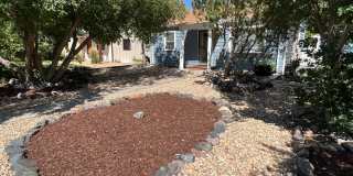 Cute East Denver Bungalow Gallery 17