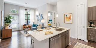 Overture Cary 55+ Active Adult Apartment Homes Gallery 36