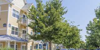 Trocadero Gallery 26