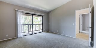 Pointe Niguel Gallery 28