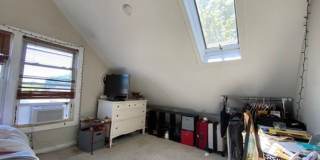 Large 4 bed in Mission Hill Gallery 23