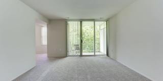 Mayfair House Apartments Gallery 9