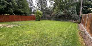 This South Hill Bright and Spacious 3 bed, 2 bath single family home, Near Glenrose available now! Gallery 25