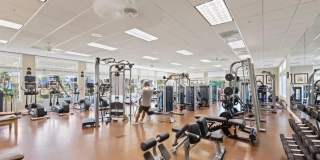 10135 Colonial Country Club Blvd unit: 1208 Gallery 33