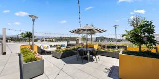 The Elinor Gallery 23