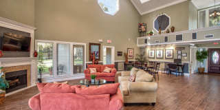 TimberLake Gallery 19