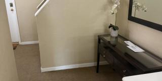 160 Cottage St. Gallery 2