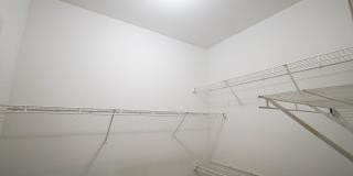 Country Lane Gallery 15