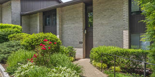 245 Hamilton Avenue Gallery 1