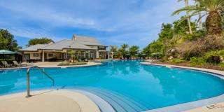 Paradise Island Gallery 25