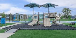 West Shire Village Gallery 42