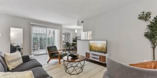 The Lantern Gallery 6