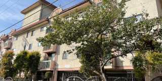 Las Palmas Apartments Gallery 19