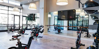 The Asher Gallery 13