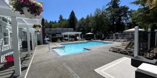 Forest Grove Gallery 9