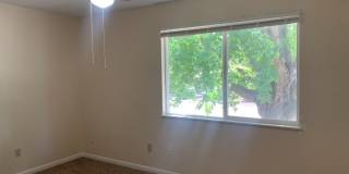 Mid-Town Single Family Home w/ Spacious Fenced Yard Gallery 12