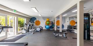 Alder Bellevue Gallery 12