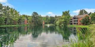 Turtle Lake Gallery 37