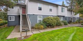 Skyline at Murrayhill Gallery 37