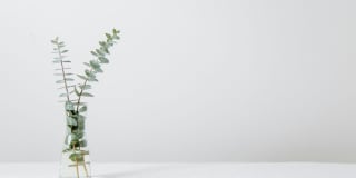 VerraWest Gallery 46