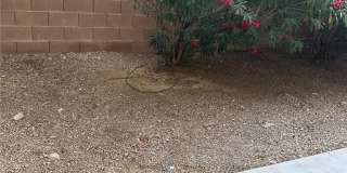 3435 Bella Valencia Court Gallery 7
