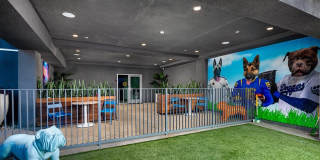 Chroma Apartment Homes Chroma Apartment Homes Gallery 82