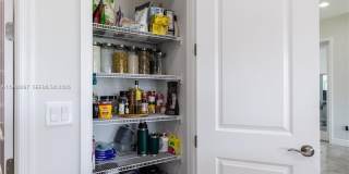 13939 Prickly Cone Cv Gallery 20