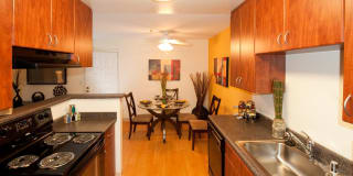Avalon Mountain View Gallery 9
