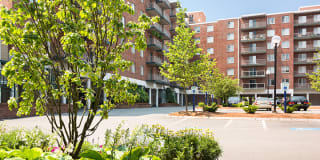 Water View Terrace Gallery 3