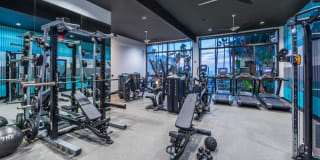 Ocean Club Gallery 10