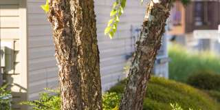 Townes at Village Center Gallery 15