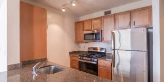 The Veridian Gallery 19