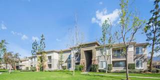 Camino Real Gallery 25