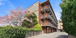 64 Poplar Avenue A7 Gallery 1