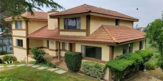 2721 Broken Feather Gallery 1