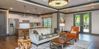 RIZE at Winter Springs Gallery 3