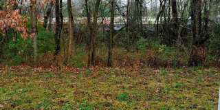 Spacious 3 Bed Townhome!!! Gallery 12