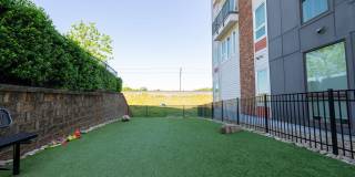 30Six NoDa Gallery 29