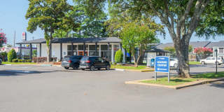 ReNew Towne Oaks Gallery 37