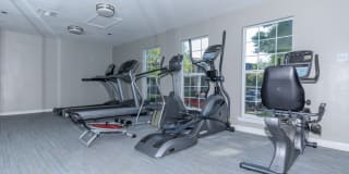 The Shore Gallery 10