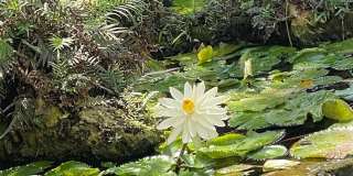 2900 NE 14th Street Causeway unit: 514 Gallery 36