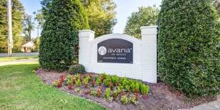 Avana on Broad Avana on Broad Gallery 40