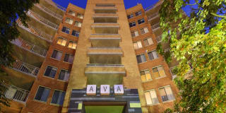 AVA Ballston Gallery 32